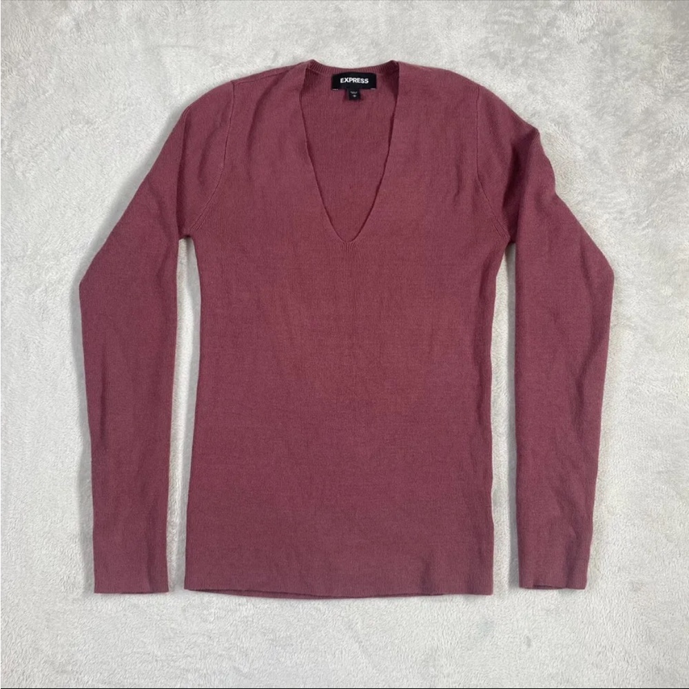 Express Fitted Sweater Women’s Medium M V-Neck